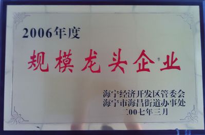 規模龍頭企業(yè)